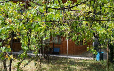 For Sale House Villa Kvishkheti Khashuri Shida Kartli