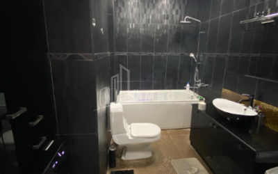 For Sale Flat, in Surrounding area of metro Guramishvili