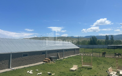 Продается Коммерческий Каспси Шида Картли