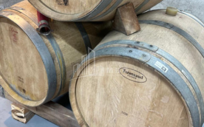 Продается Коммерческий Охио Ахмета Кахети