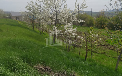 For Sale Country Land, in Tetritskaro