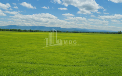 For Sale Land Vartsikhe Baghdati Imereti