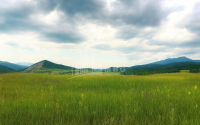 Продается Земля Гомбори Сагареджо Кахети