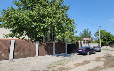 For Sale Commercial Dzegvi Mtskheta Mtskheta   Mtianeti