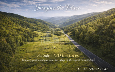 For Sale Country Land, in Dusheti