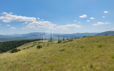 For Sale Land Koshigora Steet Dighmis Chala Saburtalo District Tbilisi