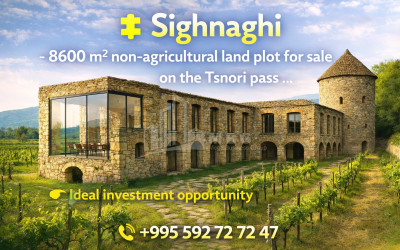 For Sale Land village Zvani Ozurgeti Municipalities of Guria