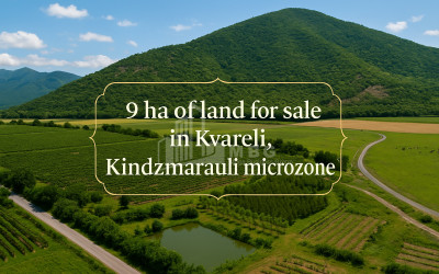 For Sale Land Kvareli Kakheti