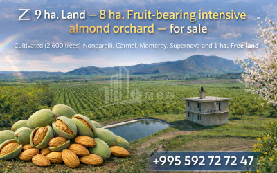 For-Sale-Land-Bolnisi-Kvemo-Kartli