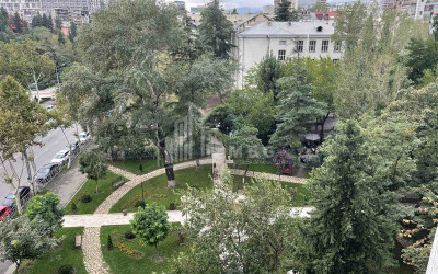 For Rent For office Commercial, in Saburtalo