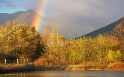 იყიდება მიწის ნაკვეთი ნაფარეული თელავი კახეთი