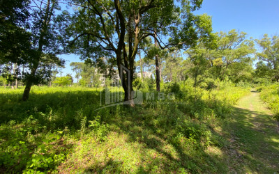 Продается Дачные Земля, в Город Поти