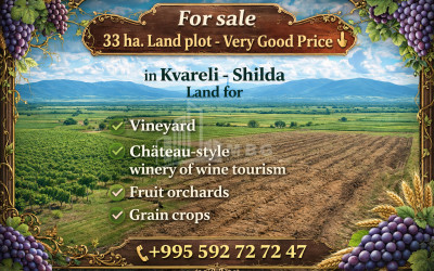 For Sale Land, Kvareli, Kakheti