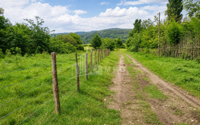 For Sale Orchards Land In Abasha