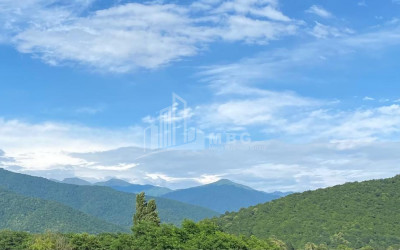 იყიდება ბიზნესი კომერციული ფართი თელავი კახეთი