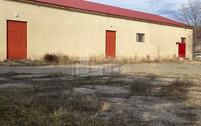 For Sale Commercial Kumisi Gardabani Kvemo Kartli