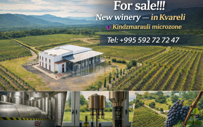 იყიდება სახლი აგარაკი ბახმარო ჩოხატაური გურია