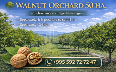 Продается Фруктовые сад Земля В Хашури