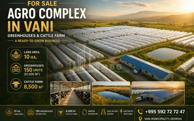 იყიდება სასათბურე მიწის ნაკვეთი ვანში