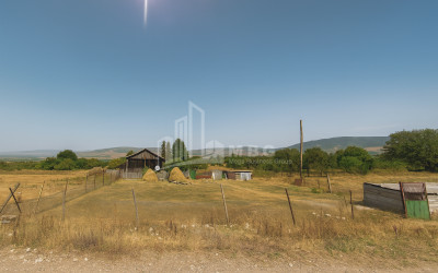 For Sale Land Magraneti Tianeti Mtskheta   Mtianeti