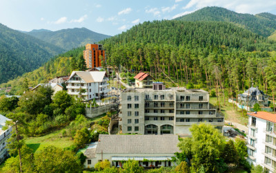 For Sale Commercial Likani Borjomi Samtskhe   Javakheti