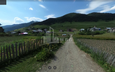 იყიდება სააგარაკე მიწის ნაკვეთი, წვირმი