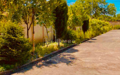 For Sale Factory Commercial, in Zugdidi