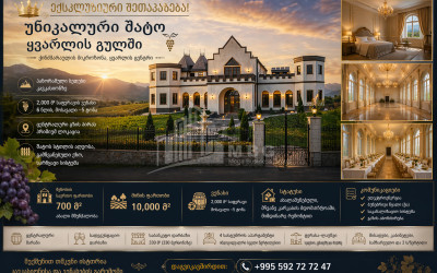 For Sale Chateau / Wine factory Commercial In Kakheti
