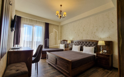 For Sale Commercial Kvareli City Kvareli Kakheti