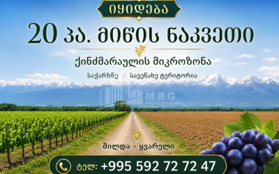 For Sale Vineyard - Chateau Land In Eniseli, Kvareli