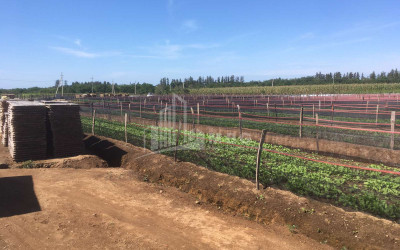 For Sale Land Municipalities of Guria