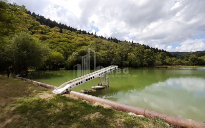 Продается Дачные Земля, в  Манглиси