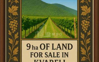 For Sale Land Kvareli Kakheti