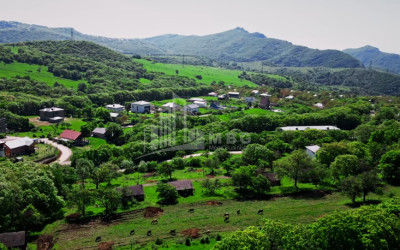 For Sale Land Kiketi Mtatsminda District Tbilisi