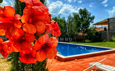 For Sale Commercial Kvareli Kakheti