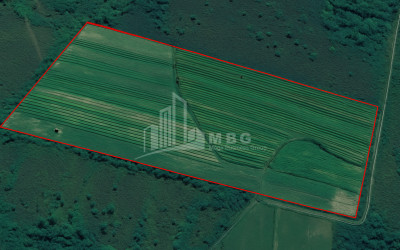 For Sale Land Kvemo Shukhuti Lanchkhuti Municipalities of Guria