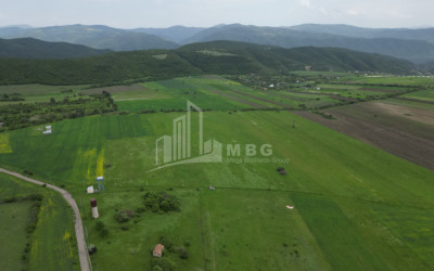 For Sale Land Bazaleti Dusheti Mtskheta   Mtianeti