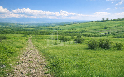 For Sale Agricultural Land In Samtatskaro, Dedoplistskaro