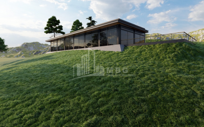 For Sale Commercial - universal Land, in Tetritskaro