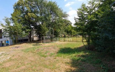 For Sale House - Villa, in Betania