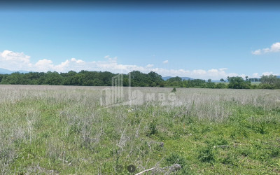 For Sale Country Land, in Village Baga