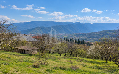 For Sale Country Land In Tsitsamuri, Mtskheta