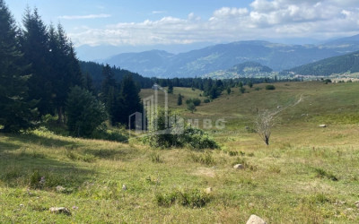 For Sale Country Land, in Khulo