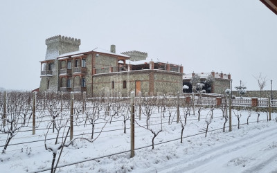 For Sale Commercial Kvareli City Kvareli Kakheti