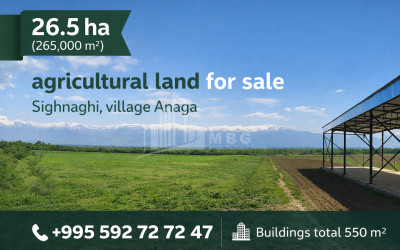 For Sale House Villa Mukhattskaro Mtskheta Mtskheta   Mtianeti