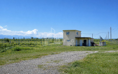 For Sale Vineyard - Chateau Land In Gori