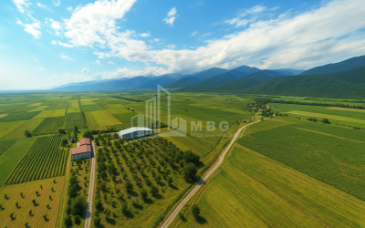 For Sale Land Kvareli Kakheti