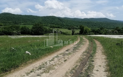 იყიდება მიწის ნაკვეთი გომბორი საგარეჯო კახეთი