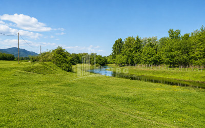 For Sale Orchards Land In Abasha