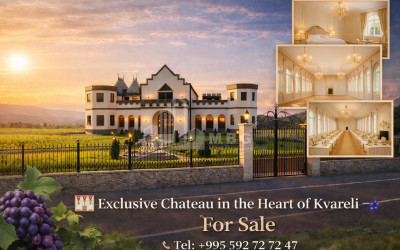 იყიდება შატო / ღვინის ქარხანა / მარანი კომერციული ფართი ყვარელში